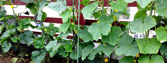 充電寶包裝設(shè)計(jì),深圳包裝設(shè)計(jì)公司,東莞包裝設(shè)計(jì)公司