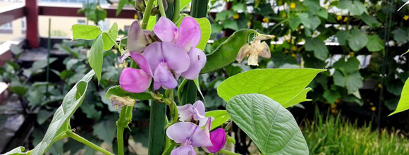 智能家居包裝設(shè)計(jì),品牌logo設(shè)計(jì),品牌包裝設(shè)計(jì)