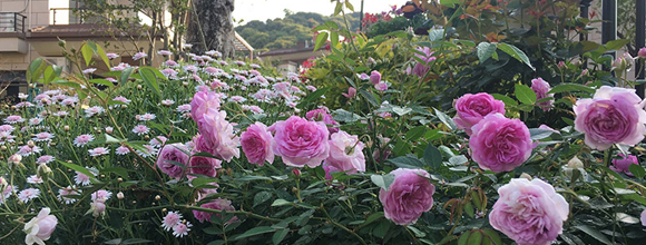 美容儀包裝設(shè)計(jì),深圳包裝設(shè)計(jì)公司,東莞包裝設(shè)計(jì)公司